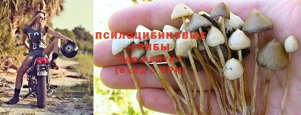 а пвп мука Беломорск