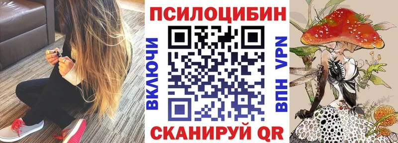 Псилоцибиновые грибы Cubensis  Белозерск 